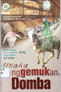 Usaha penggemukan domba
