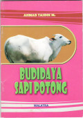 Budidaya sapi potong