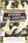 6 kunci sukses beternak ayam kampung