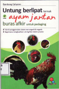 Untung berlipat ternak ayam jantan buras afkir untuk pedaging