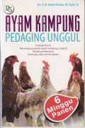 Ayam kampung pedaging unggul