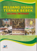 Peluang usaha ternak bebek secara intensif
