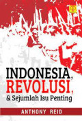 Indonesia revolusi dan sejumlah isu penting = to nation by revolution: Indonesia in the 20th century