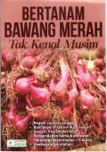 Bertanam bawang merah tak kenal musim