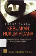 Bunga rampai kebijakan hukum pidana: perkembangan penyusunan konsep KUHP baru