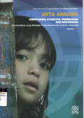 Meta analisis kerentanan, stabilitas, pemindahan dan reintegrasi: permasalahan yang dihadapi proses perdamaian di Aceh, Indonesia