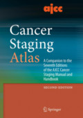 AJCC Cancer Staging AtlasA Companion to the Seventh Editions of the AJCC Cancer Staging Manual and Handbook /