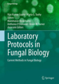 Laboratory Protocols in Fungal BiologyCurrent Methods in Fungal Biology /