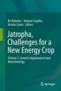 Jatropha, Challenges for a New Energy CropVolume 2: Genetic Improvement and Biotechnology /