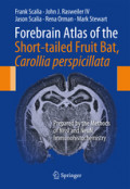 Forebrain Atlas of the Short-tailed Fruit Bat, Carollia perspicillataPrepared by the Methods of Nissl and NeuN Immunohistochemistry /