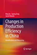 Changes in Production Efficiency in ChinaIdentification and Measuring /