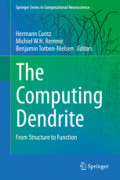 The Computing DendriteFrom Structure to Function /