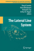 The Lateral Line System