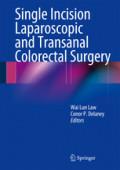 Single Incision Laparoscopic and Transanal Colorectal Surgery