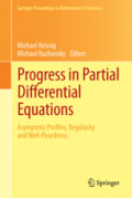 Progress in Partial Differential EquationsAsymptotic Profiles, Regularity and Well-Posedness /