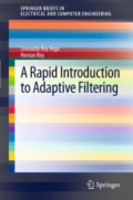 A Rapid Introduction to Adaptive Filtering
