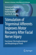 Stimulation of Trigeminal Afferents Improves Motor Recovery After Facial Nerve InjuryFunctional, Electrophysiological and Morphological Proofs /