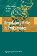 Regulatory RNAs in Prokaryotes
