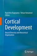 Cortical DevelopmentNeural Diversity and Neocortical Organization /