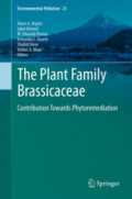 The Plant Family BrassicaceaeContribution Towards Phytoremediation /