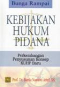 Bunga rampai kebijakan hukum pidana: perkembangan penyusunan konsep KUHP baru